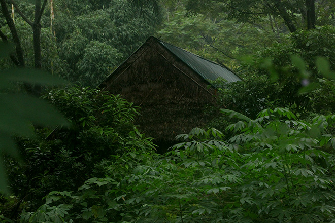Gia đình sống gần như tuyệt giao với xã hội ở Thanh Hóa: Khai quật khu vườn bí ẩn, tìm thấy vô số sắt thép-2