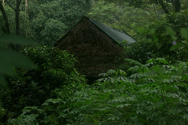 39 người thoát khỏi biển lửa vụ cháy quán phở gần bến xe Miền Đông-3