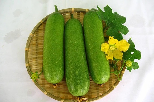 Sai lầm cần tránh tuyệt đối khi giảm cân bằng bí đao kẻo ngộ độc, mất mạng-1