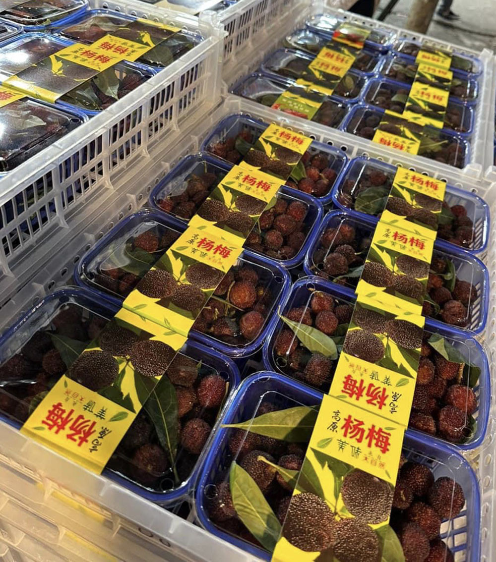 Thanh mai Trung Quốc lại dội chợ, giá 260.000 đồng/kg vẫn ‘cháy hàng’-2