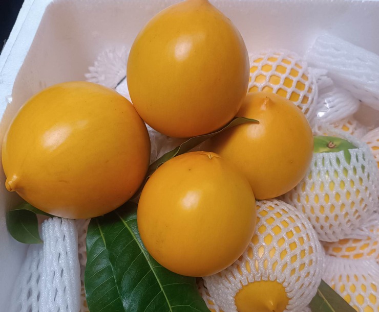 Loại quả trước gần triệu/kg, nay giá rẻ giật mình, dân buôn ngày bán hàng tạ-4