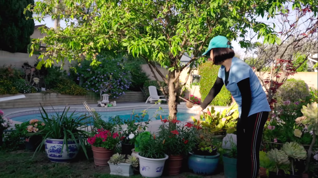 Tình đầu đứt gánh sau 24 năm và gặp biến cố bệnh tật, Hồng Đào được vực dậy nhờ động thái này!-3