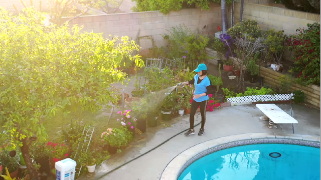 Tình đầu đứt gánh sau 24 năm và gặp biến cố bệnh tật, Hồng Đào được vực dậy nhờ động thái này!-4