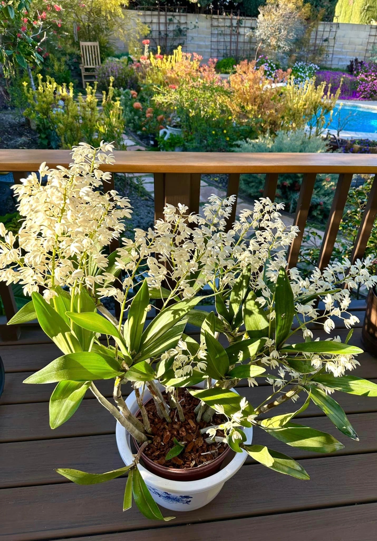 Tình đầu đứt gánh sau 24 năm và gặp biến cố bệnh tật, Hồng Đào được vực dậy nhờ động thái này!-13