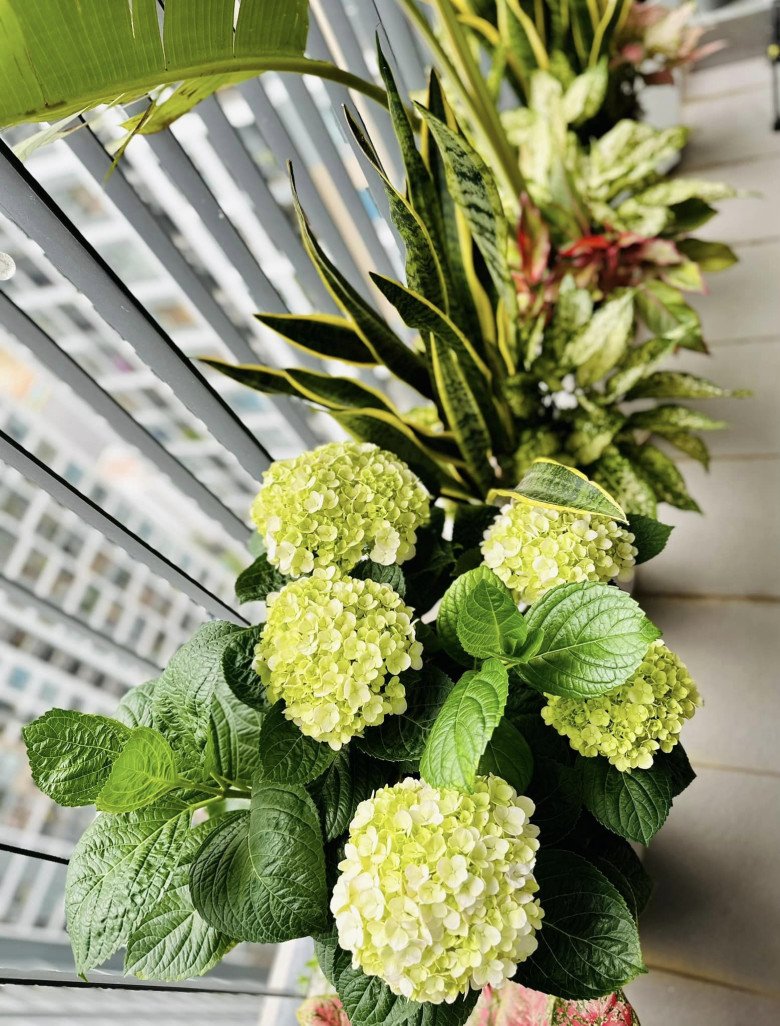 BTV, Thượng úy Minh Hương khoe ngôi nhà đẹp hết chỗ chê, phong cách cắm hoa khiến chị em nể phục-9