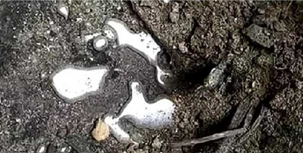 Khai quật quan tài đỏ, chất lỏng chảy ra khiến các chuyên gia hốt hoảng bỏ chạy-3