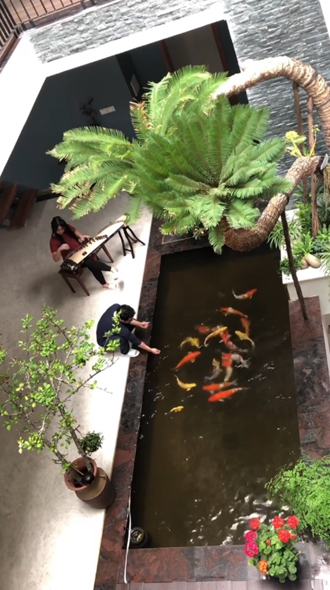 Đăng clip con gái đánh đàn bên hồ cá Koi, Trọng Tấn để lộ không gian bao người mơ ước-1