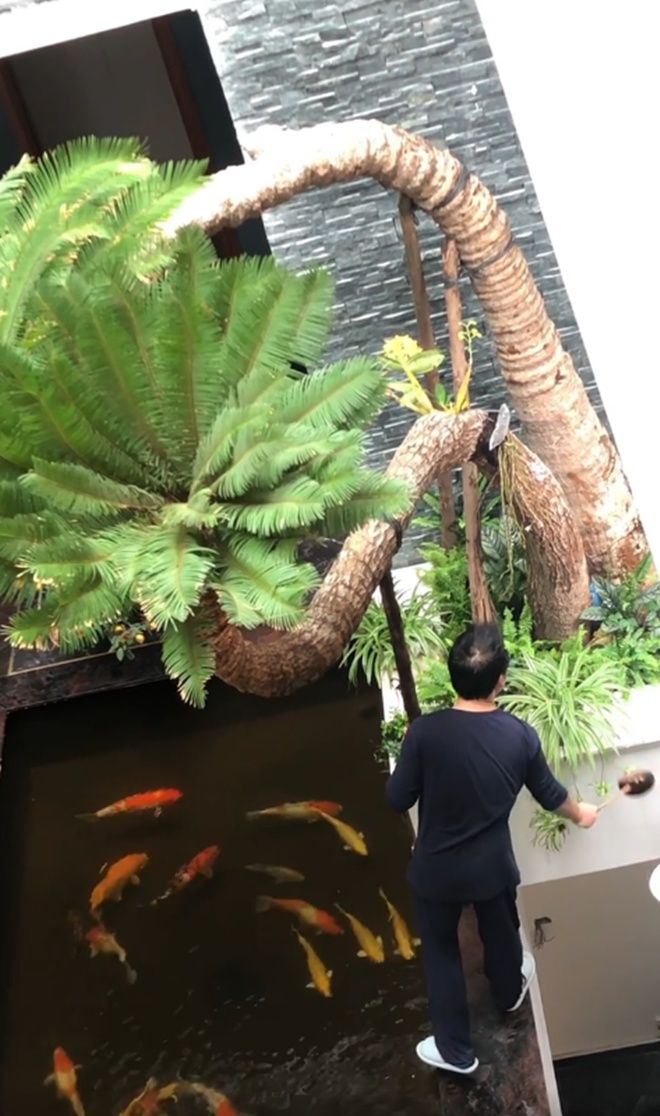 Đăng clip con gái đánh đàn bên hồ cá Koi, Trọng Tấn để lộ không gian bao người mơ ước-2