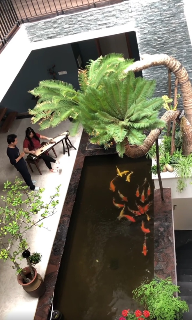 Đăng clip con gái đánh đàn bên hồ cá Koi, Trọng Tấn để lộ không gian bao người mơ ước-3