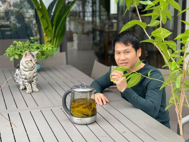 Đăng clip con gái đánh đàn bên hồ cá Koi, Trọng Tấn để lộ không gian bao người mơ ước-9