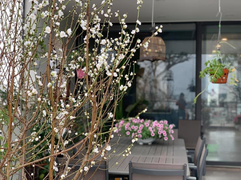 Đăng clip con gái đánh đàn bên hồ cá Koi, Trọng Tấn để lộ không gian bao người mơ ước-17