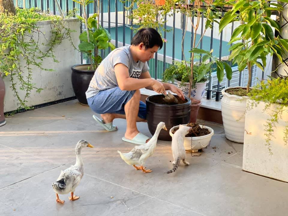 Đăng clip con gái đánh đàn bên hồ cá Koi, Trọng Tấn để lộ không gian bao người mơ ước-22