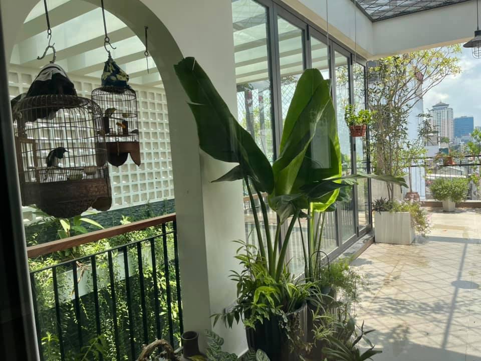 Đăng clip con gái đánh đàn bên hồ cá Koi, Trọng Tấn để lộ không gian bao người mơ ước-25