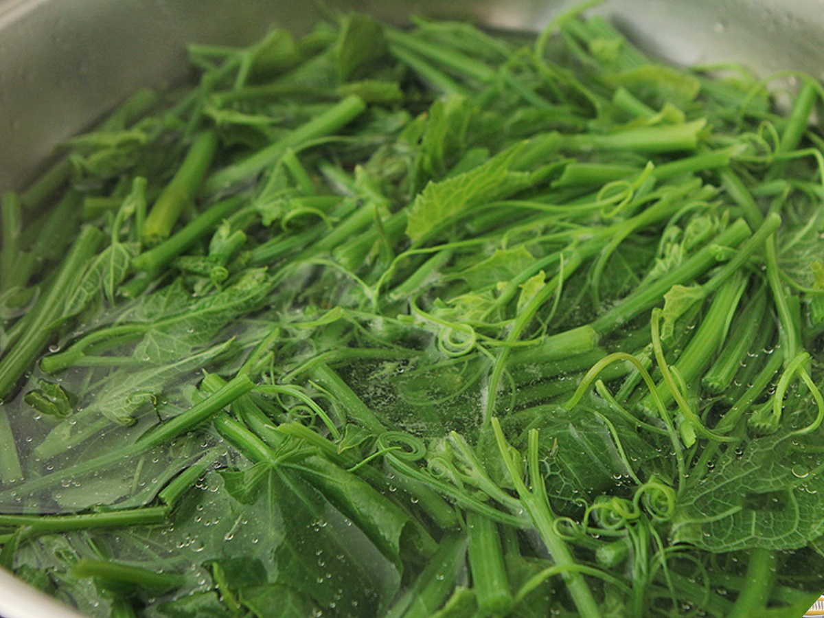 Loại rau được ví là thịt của người ăn chay”, vitamin C cao gấp 3 lần bí đao, gặp thì nhớ mua ăn-5