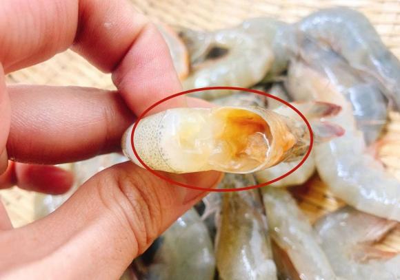 Mua tôm nên chọn tôm thẳng hay tôm cong? Sự thật bất ngờ khiến nhiều người ngã ngửa-4