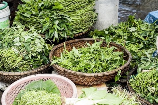 Dấu hiệu bạn đã nhiễm sán lá gan lớn