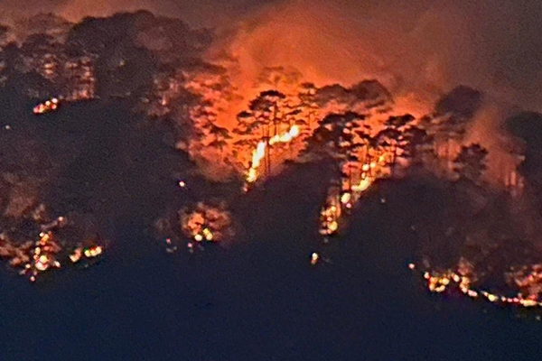 Rừng thông Đà Lạt cháy thêm hơn 3ha-5