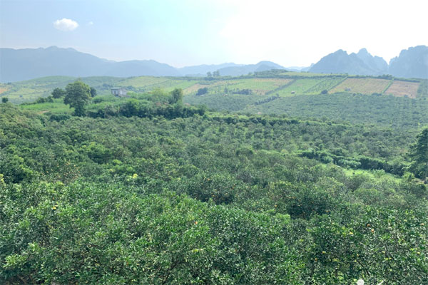 Thị trường ảm đạm, chủ đất vẫn hét giá cao-2