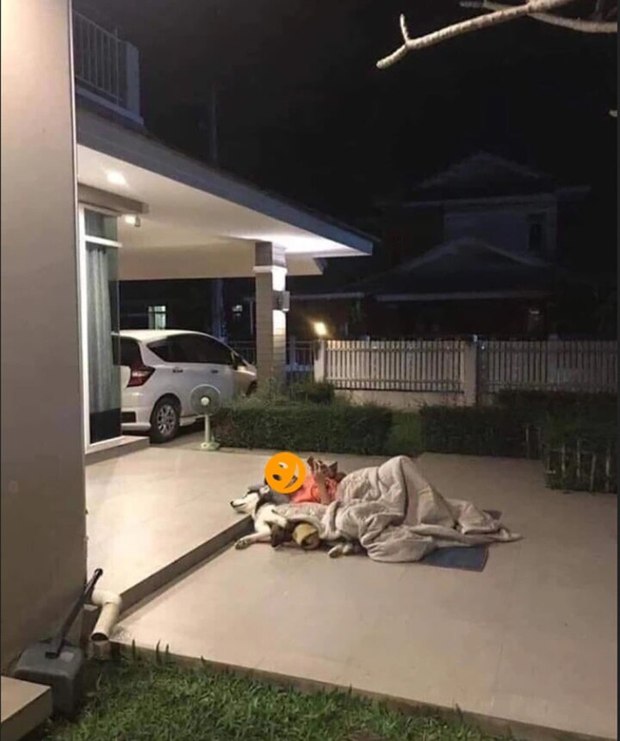 Khi các anh chồng can đảm bật vợ nhưng thần may mắn từ chối mỉm cười-3