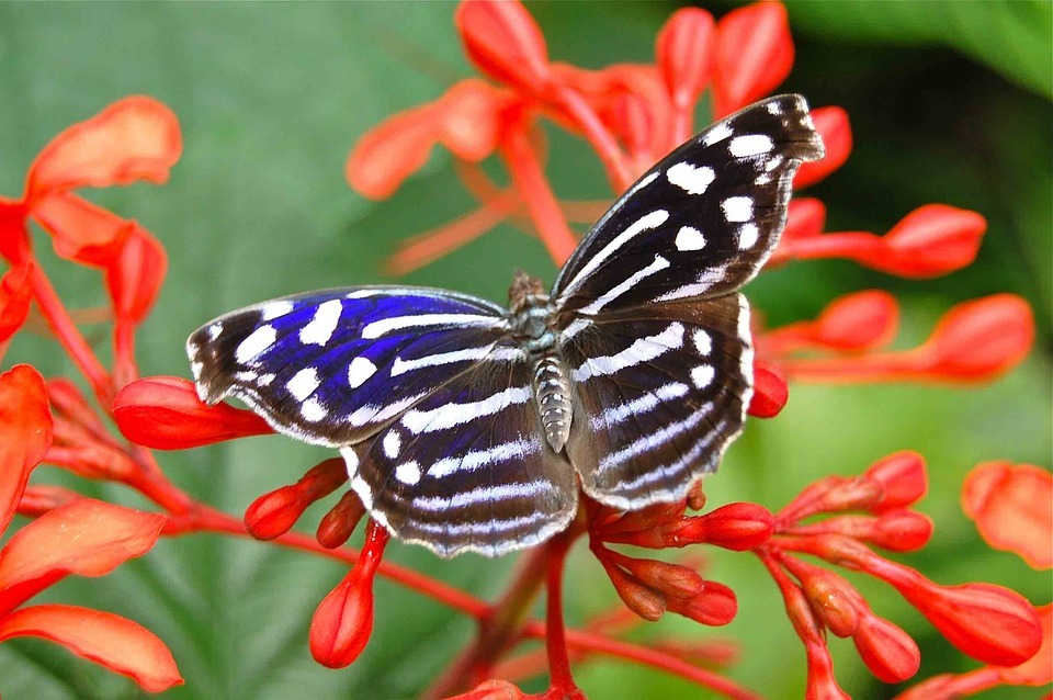 Tin tức trực tuyến