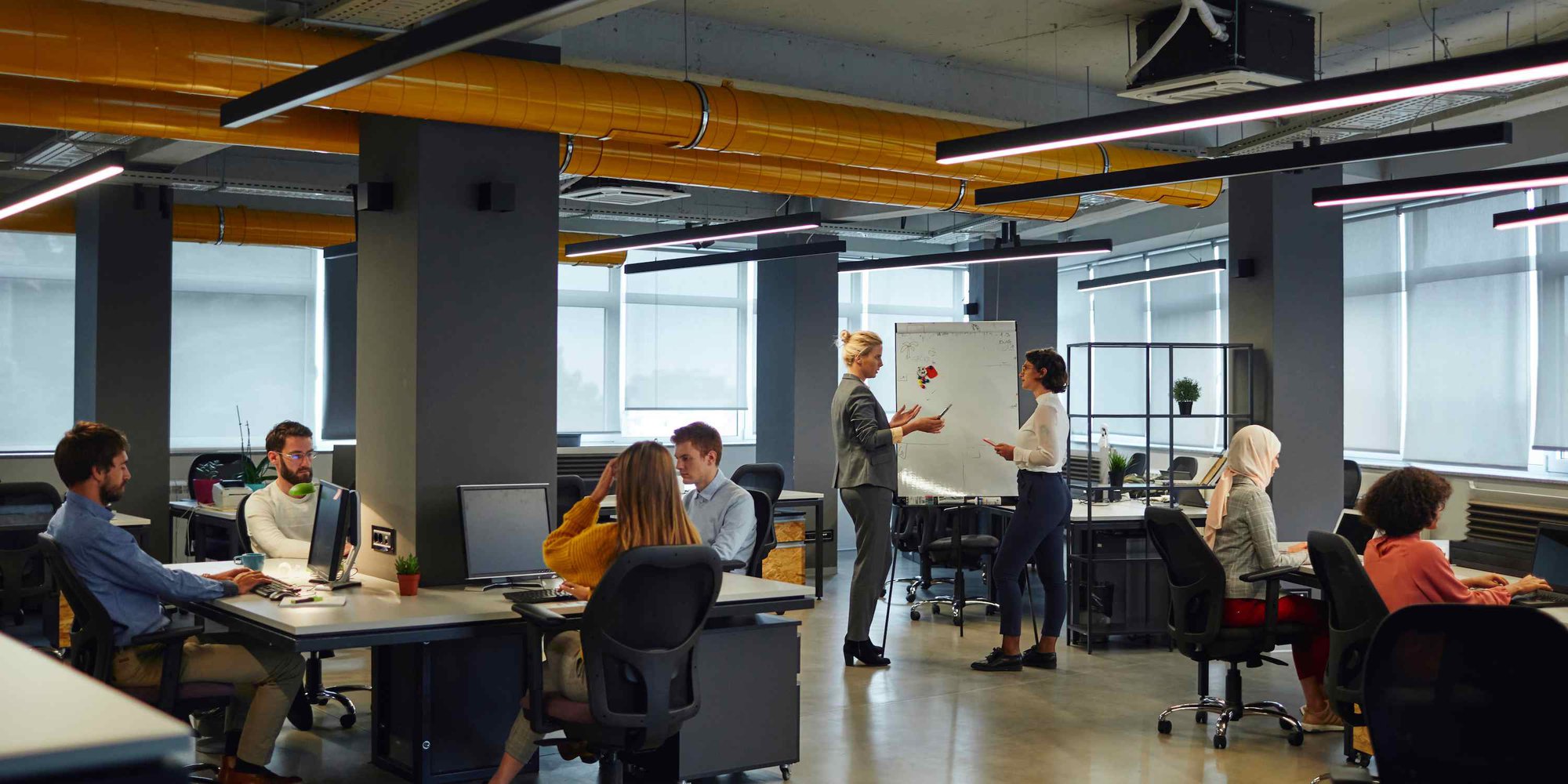 Công việc được trả lương cao ngất ngưởng để không làm gì cả-3