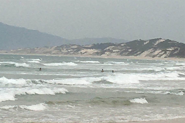 Ông Đỗ Thành Nhân và nhóm thao túng chứng khoán, hưởng lợi 154 tỷ hầu tòa-2