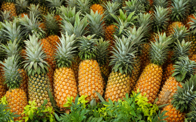 Dứa đang vào mùa, ngoài ăn trực tiếp còn làm món này giúp cấp ẩm và thải độc cho da hiệu quả-3