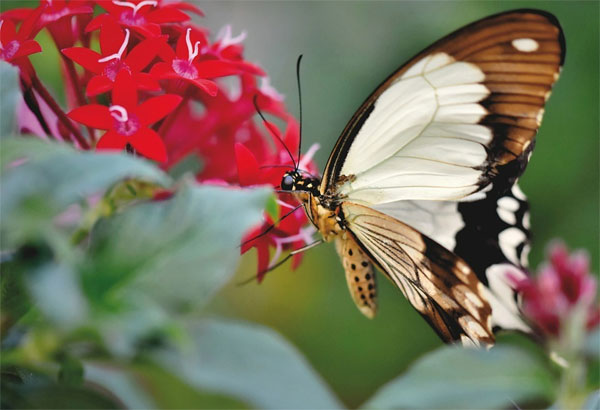 Người sinh vào 4 ngày Âm lịch này được quý nhân bao bọc, tiền bạc rủng rỉnh, tình yêu rực rỡ-3