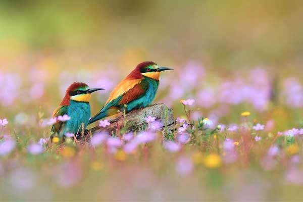 Sinh vào 6 ngày Âm lịch này, cốt cách mạnh mẽ hơn người, khó khăn cũng không chịu khuất phục-4