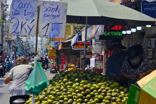 Giá cam sành rẻ bèo giữa mùa nắng nóng gay gắt-1