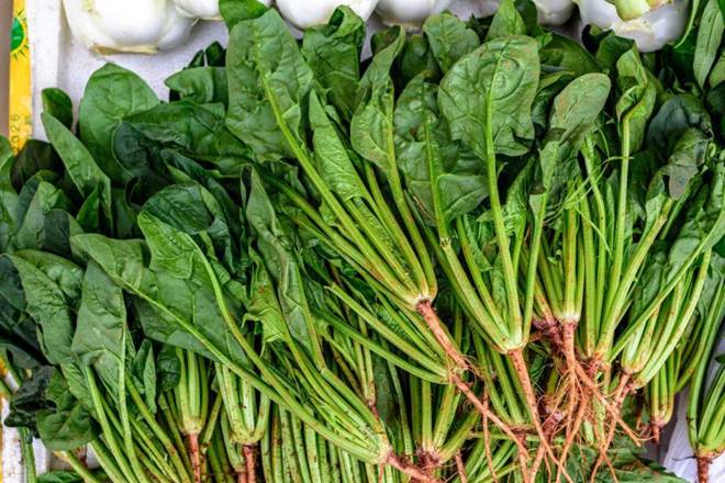 Siêu thực phẩm tưởng chỉ để xào hoặc nấu canh, nào ngờ nấu ăn sáng được món ngon, bổ đủ thứ-1