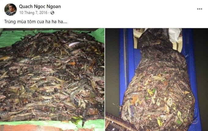 Quách Ngọc Ngoan trồng rau, nuôi cá ở biệt thự 5 tỷ đồng trước khi vỡ nợ-4