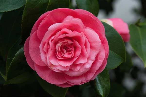 Trung tuần tháng 4, 3 con giáp đón Thần Tài, rước quý nhân, kiếm tiền về đầy túi-2