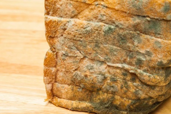 Thức ăn thừa nếu có 5 dấu hiệu này thì nên vứt bỏ ngay, tiếc rẻ mà ăn vào lại càng hại sức khỏe-2