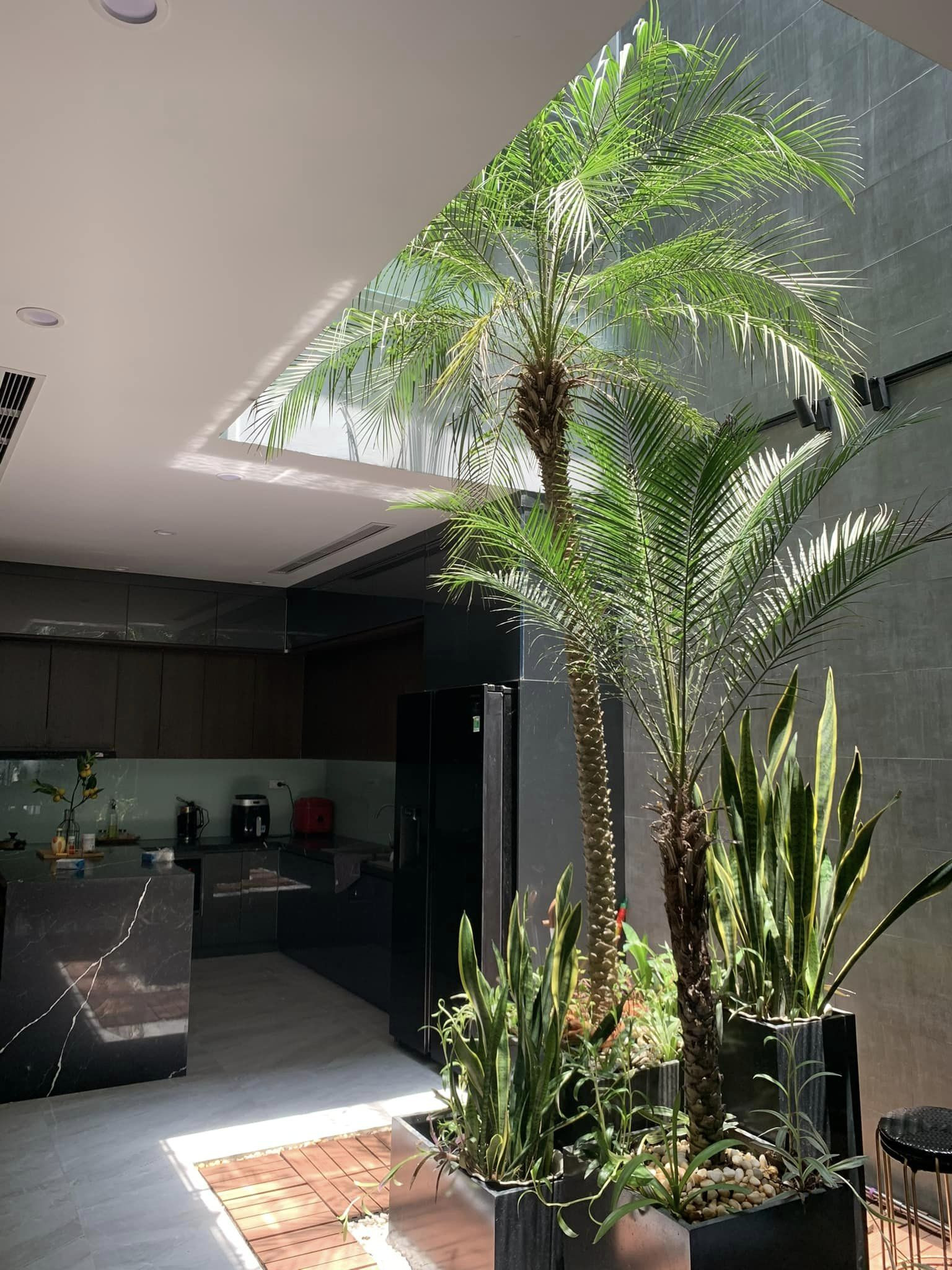 Nhà phố đông ấm, hè mát mang phong cách hiện đại-2