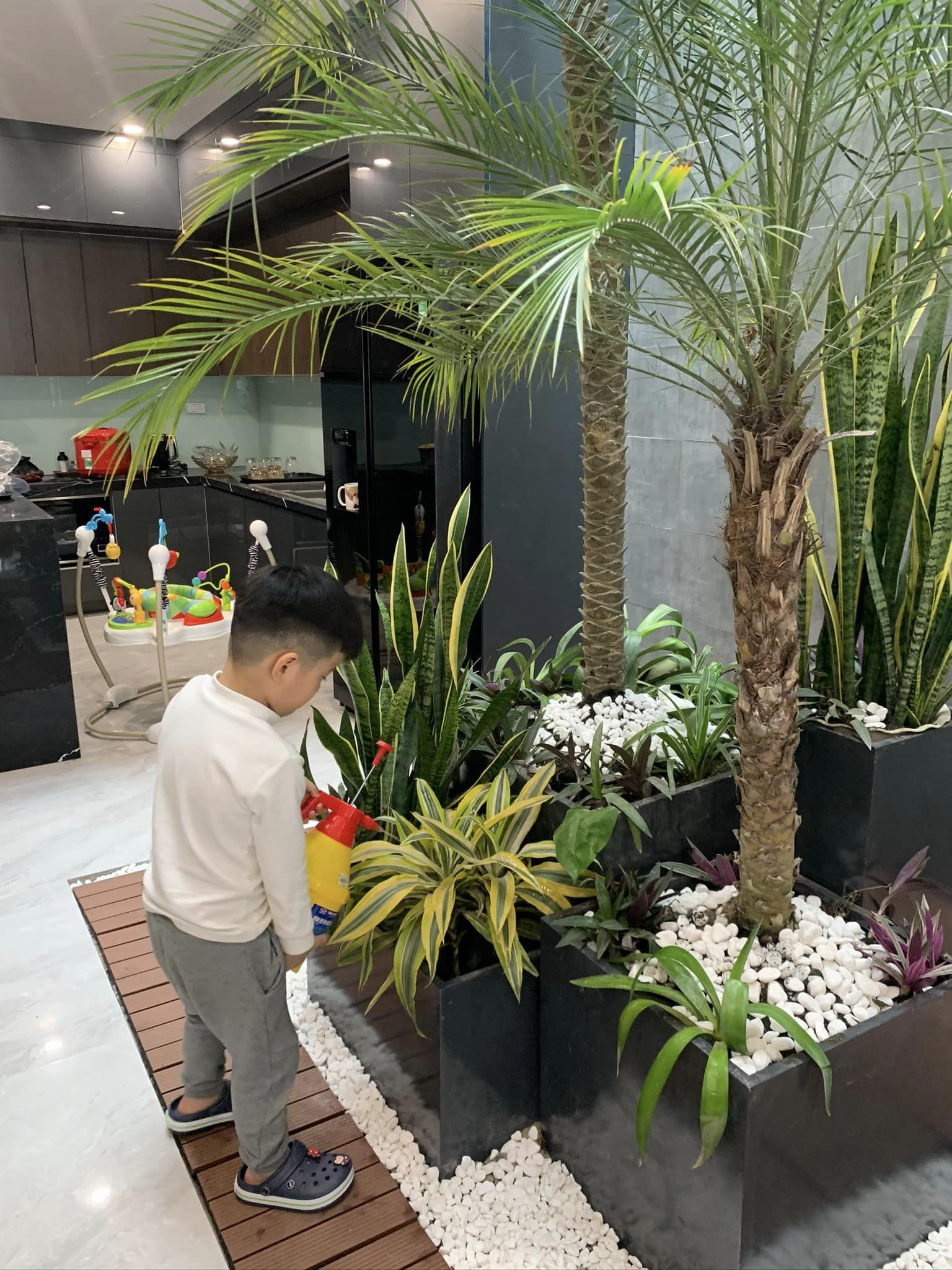 Nhà phố đông ấm, hè mát mang phong cách hiện đại-15