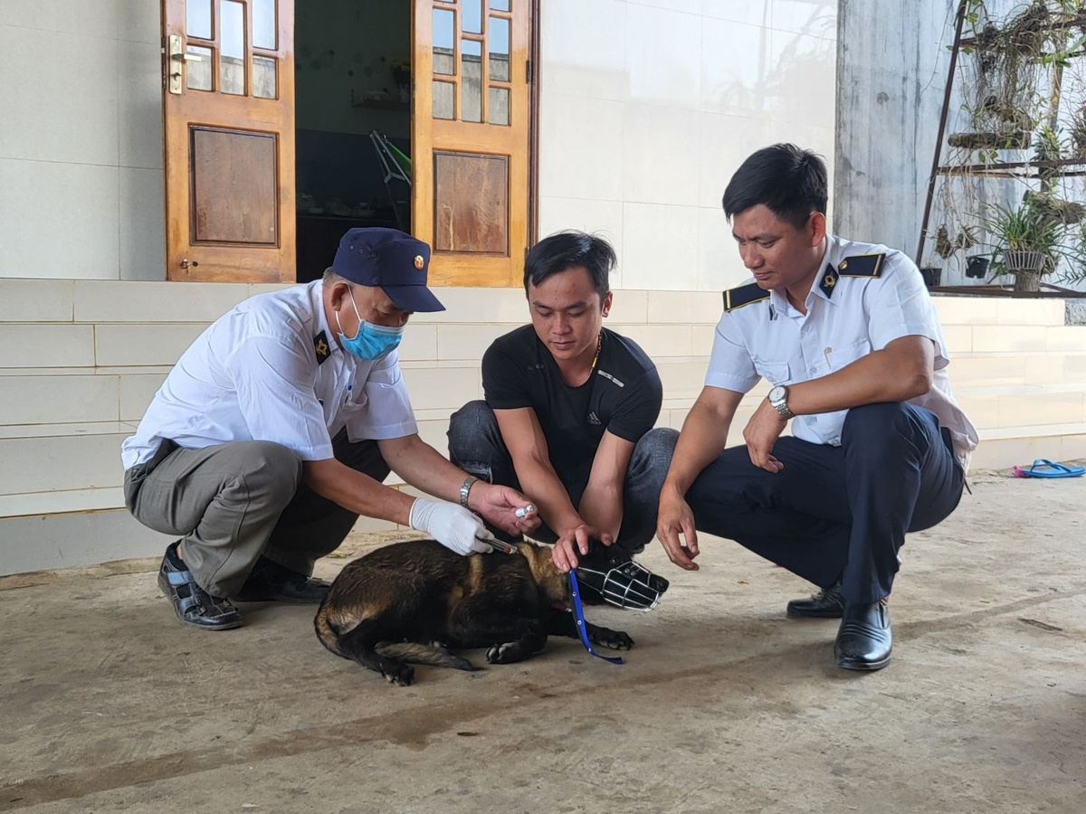 Bé gái 9 tuổi ở Đắk Lắk tử vong nghi do bệnh dại-2