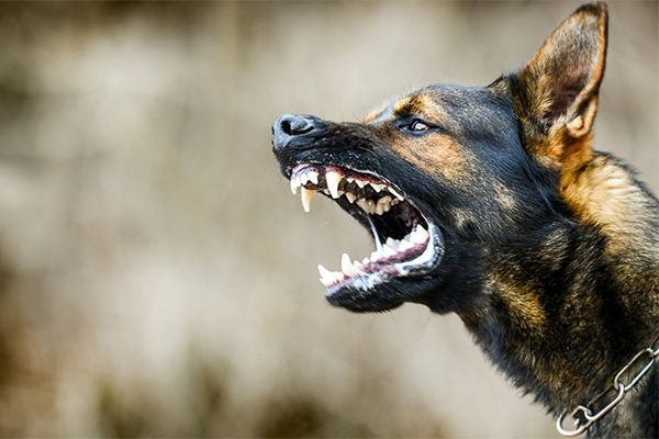 Gần 15 triệu người Việt Nam gặp vấn đề sức khỏe tâm thần-3