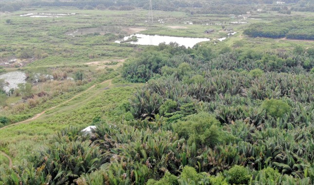 Vì sao bố con ông Trần Quí Thanh bị bắt?-1