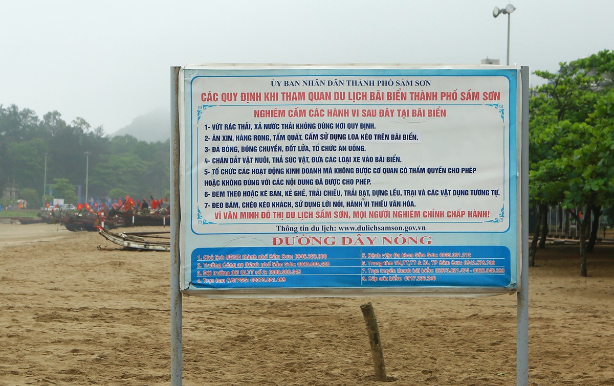 Bí thư Sầm Sơn: 1 quả dừa bán chênh 40 ngàn, phạt 12 triệu-2