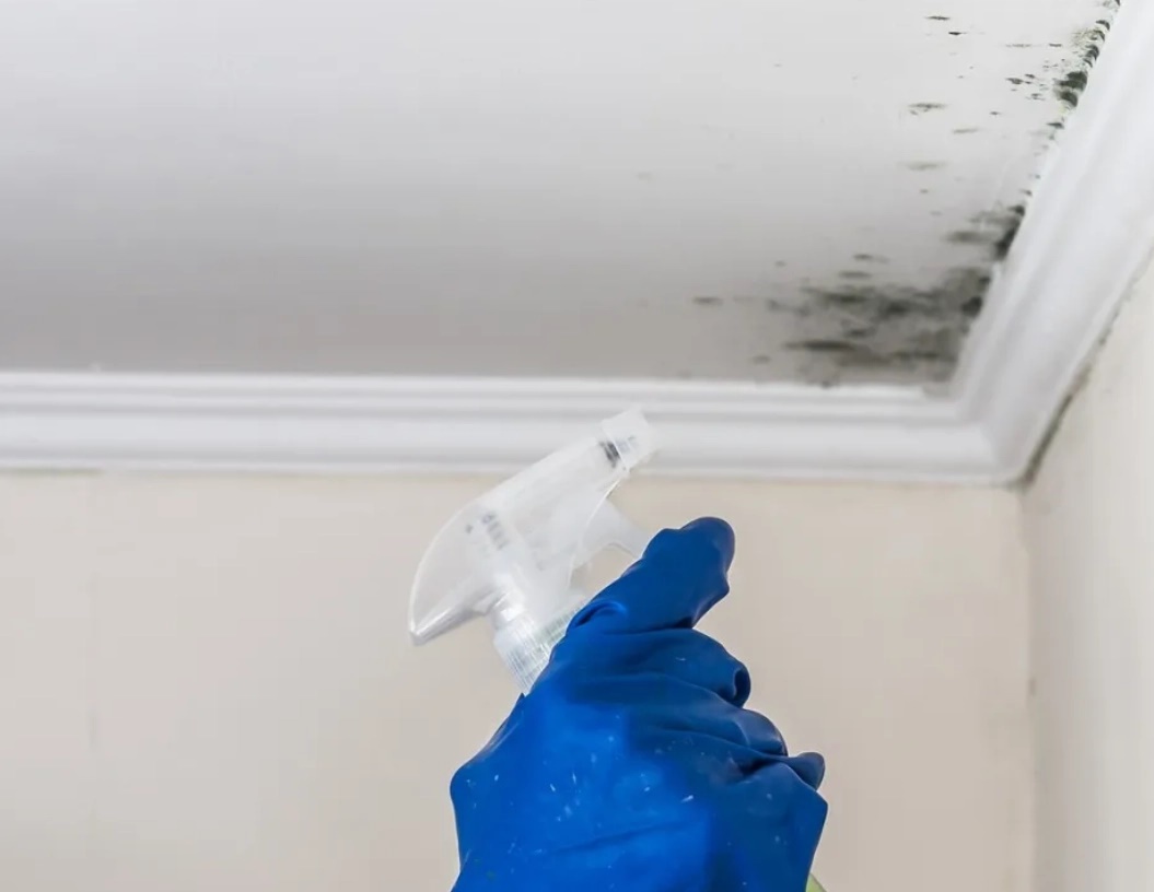 Mách bạn mẹo hay để loại bỏ nấm mốc trên trần nhà tắm-1