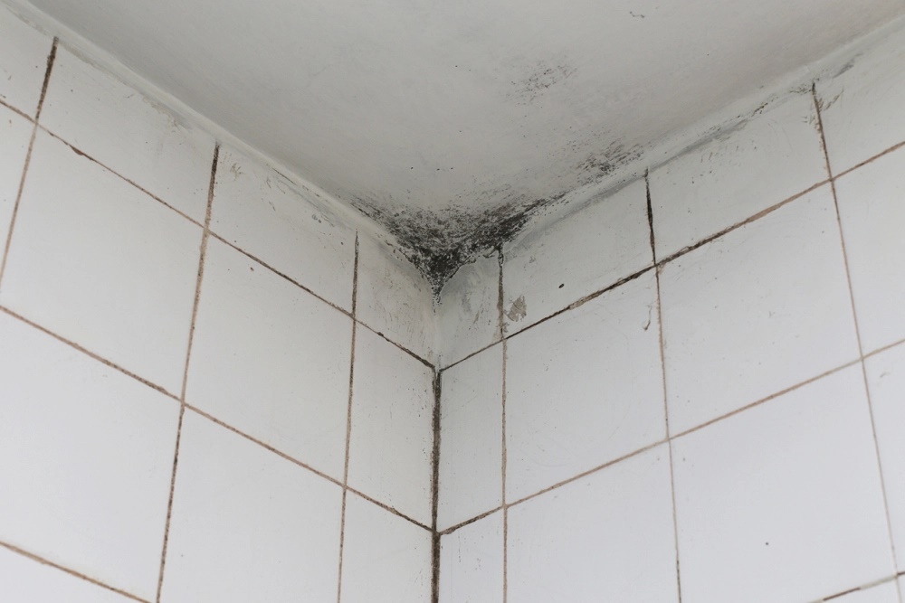 Mách bạn mẹo hay để loại bỏ nấm mốc trên trần nhà tắm-2
