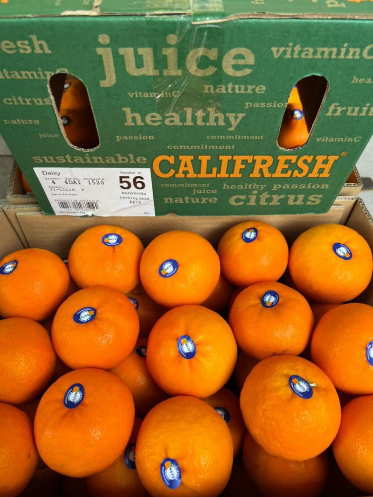 Sự thật về quýt Úc siêu ngọt, giá chỉ 40.000 đồng/kg-2