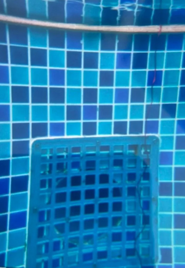 Vụ bé trai người Nhật bị đuối nước tại Phan Thiết: Người mẹ kiến nghị thu hồi Quyết định tạm đình chỉ điều tra-3