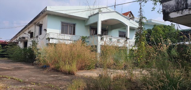 Truy tố người từng tố cáo con gái Chủ tịch Tân Hiệp Phát-1