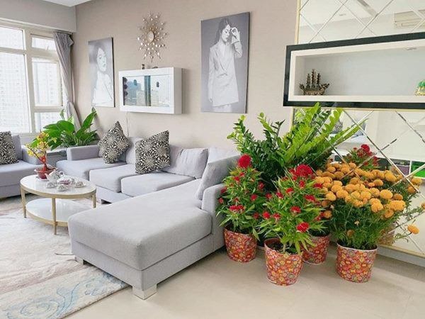 Sao Việt vỡ nợ: Người sống giản dị, người sống sang trọng-4