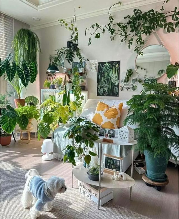 Bỏ 6 loại phế phẩm này vào chậu cây cảnh, trồng 10 năm không thối rễ, hoa đến thì hoa lại nở-6