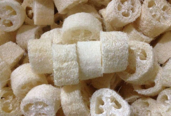 Bỏ 6 loại phế phẩm này vào chậu cây cảnh, trồng 10 năm không thối rễ, hoa đến thì hoa lại nở-7