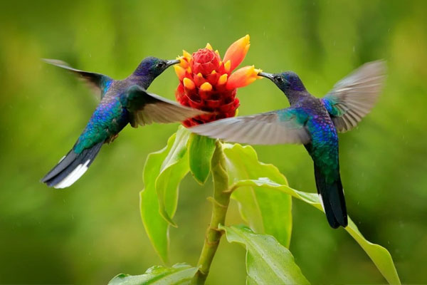 Thông minh, quyến rũ, ai sinh tháng Âm lịch này đi đâu cũng có bạn, làm gì cũng thuận lợi, kiếm ra tiền-5