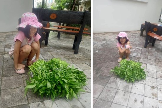 Cô bé 7 tuổi nhễ nhại mồ hôi bán rau ngoài chợ, nghe chuyện ai cũng khen bố mẹ dạy con khéo